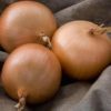 Onions - Storage/Patterson